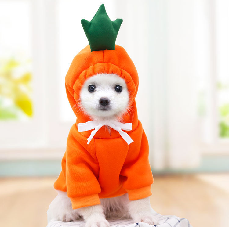 Dog Clothing