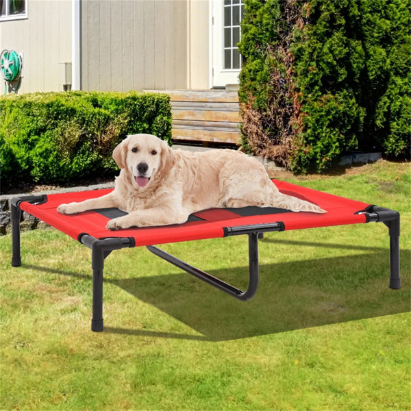 Dog Beds